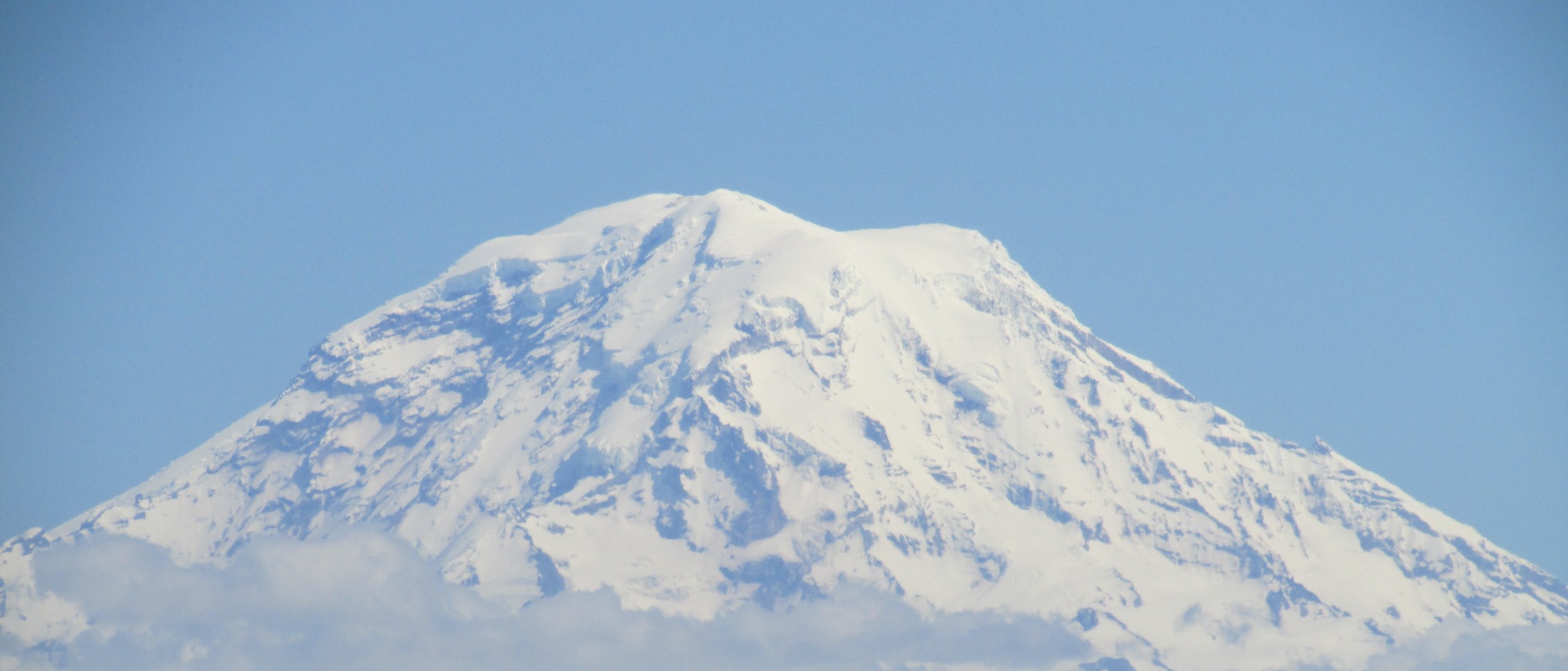 View toward Mount Rainier from the Stadium District in Tacoma, with evergreen trees in the foreground